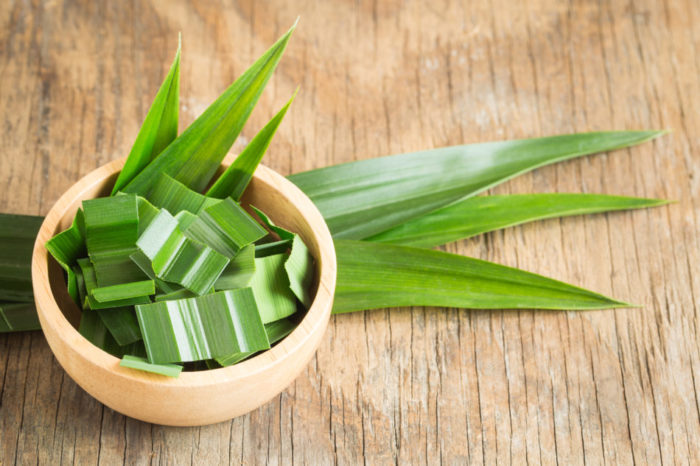 Best Pandanus Leaf Substitute And The Other Closest Things