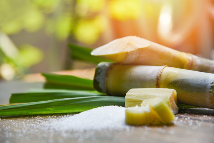 Palm Sugar vs Cane Sugar