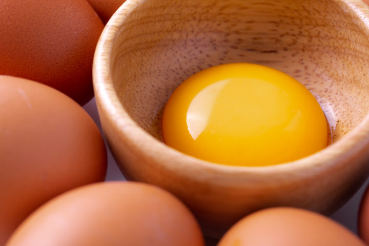 egg yolk substitute