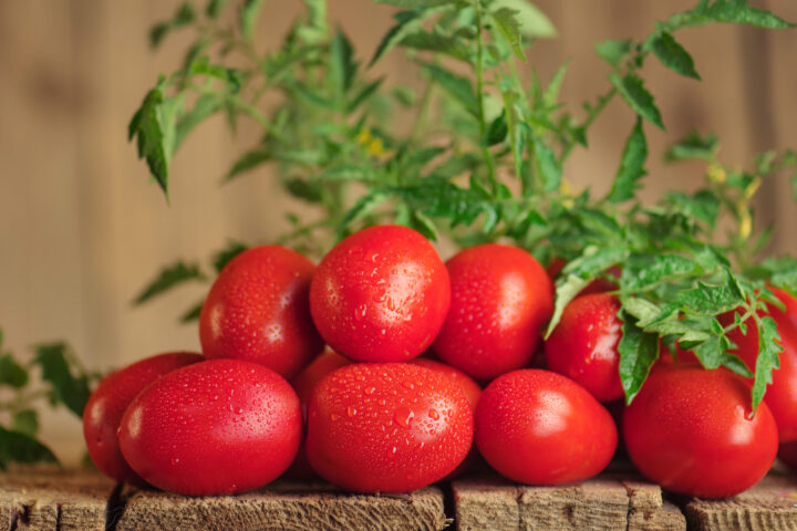plum tomatoes substitute